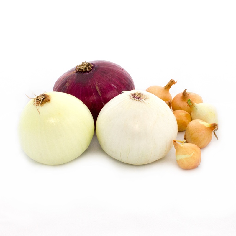 Jumbo Yellow Onions, $1.69 per lb