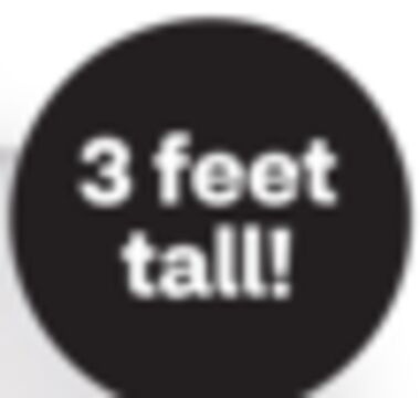 3 feet tall!