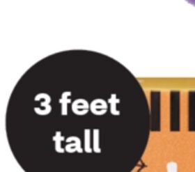 3 feet tall