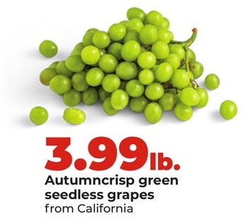Autumncrisp green seedless grapes