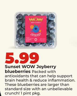 Sunset WOW Joyberry blueberries