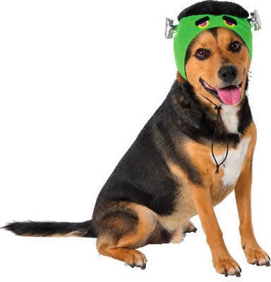 Halloween Pet Costumes