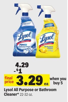 Lysol All Purpose or Bathroom Cleaner*