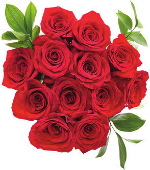 Floral and Vine by Meijer Dozen Rose Bunch*