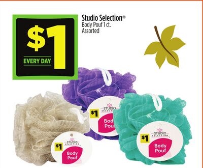 Studio Selection® Body Pouf 1 ct. Assorted