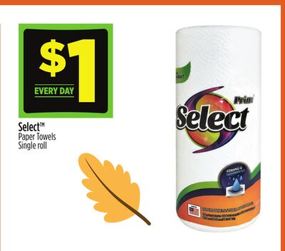 Select™ Paper Towels Single roll