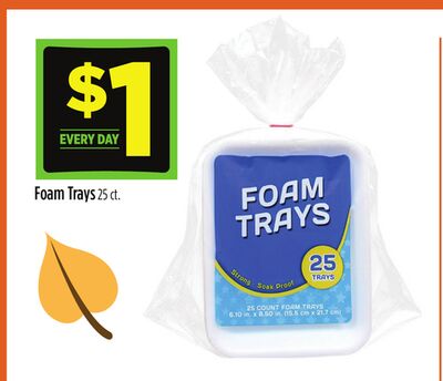 Foam Trays