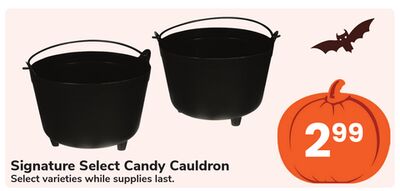 Signature Select Candy Cauldron