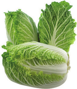 Cara Cara Navel Oranges lb., Cucumbers ea., Napa Cabbage lb., Butternut, Spaghetti or Green Acorn Squash lb., or Fresh Express Cole Slaw 14 oz.