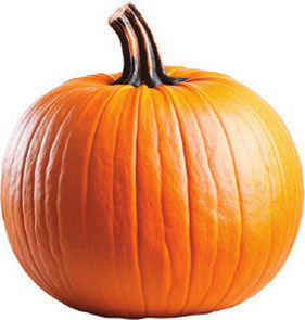 Locally Grown Orange or White Pumpkins