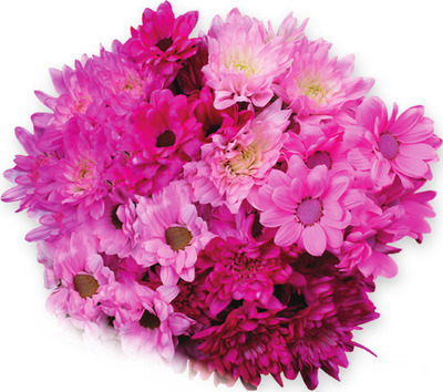 Candy Pompoms