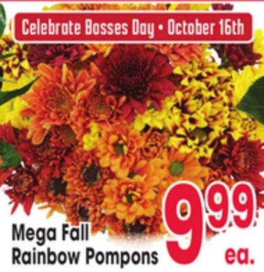 Mega Fall Rainbow Pompons