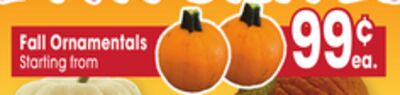 Fall Ornamentals