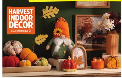 HARVEST INDOOR DECOR Assorted