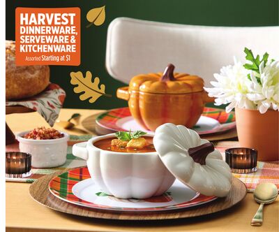HARVEST DINNERWARE, SERVEWARE & KITCHENWARE