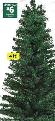 Holiday Trees