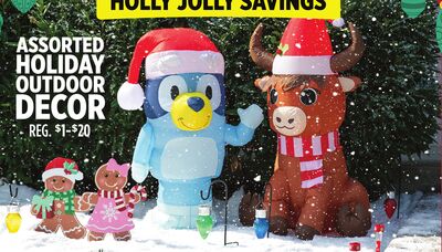 ASSORTED HOLIDAY OUTDOOR DECOR