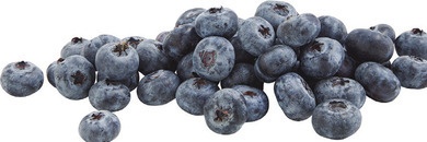 Jumbo Blueberries