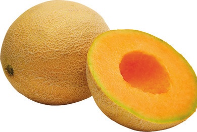 CANTALOUPE