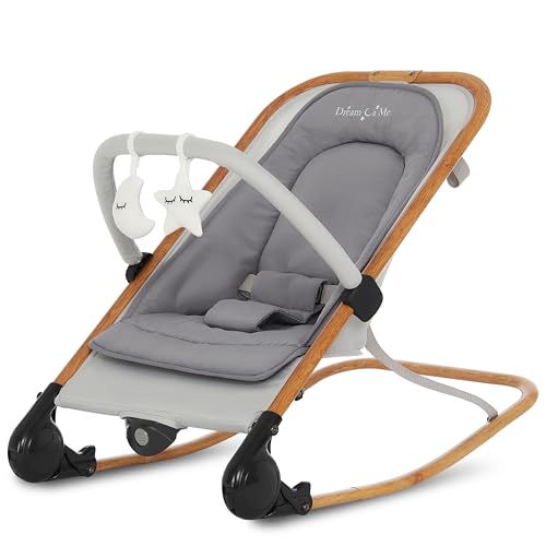 Baby Rocker and Seat