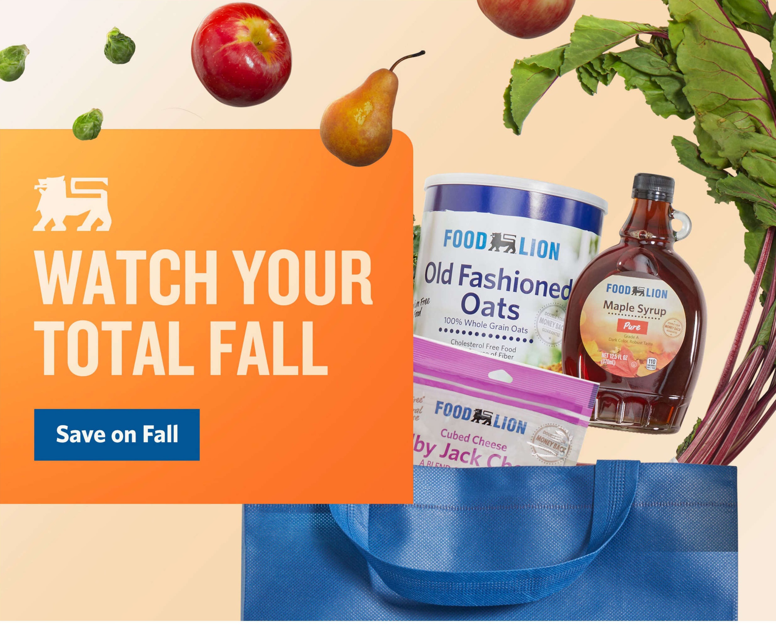 Food Lion Weekly Ad Page 2