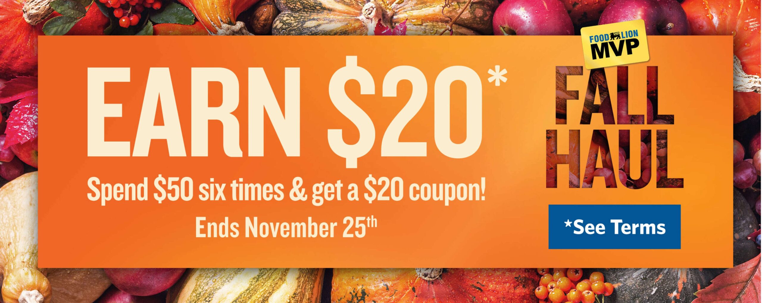 Food Lion Weekly Ad Page 5