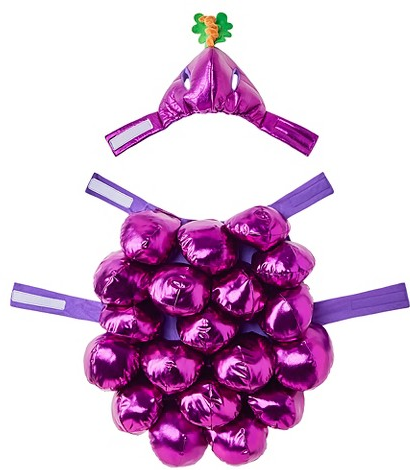 Boots & Barkley grape full-body dog costume