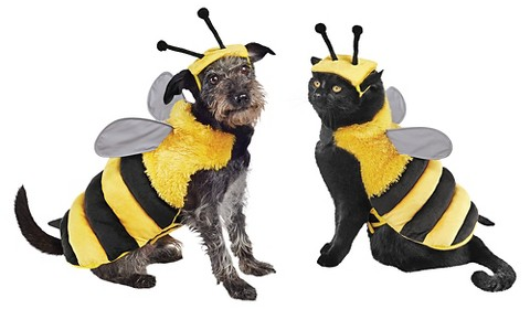 Boots & Barkley bee with reflective wings full-body dog & cat costume