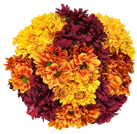Good Little Garden™ fresh Rainbow Spice poms bouquet