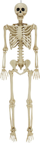 Halloween Skeleton Decorations