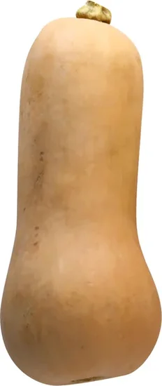 Butternut Squash