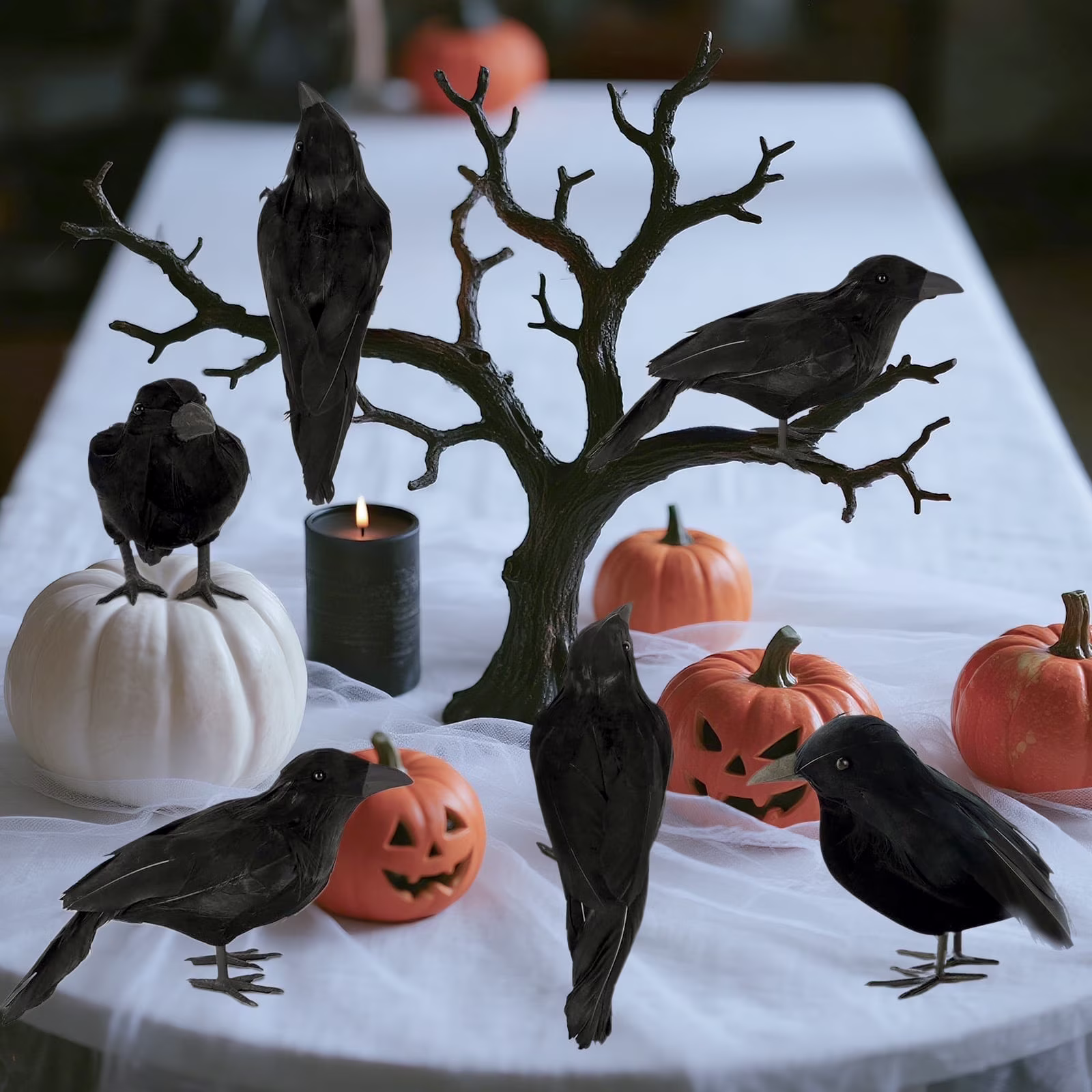 6 Pack Halloween Crow