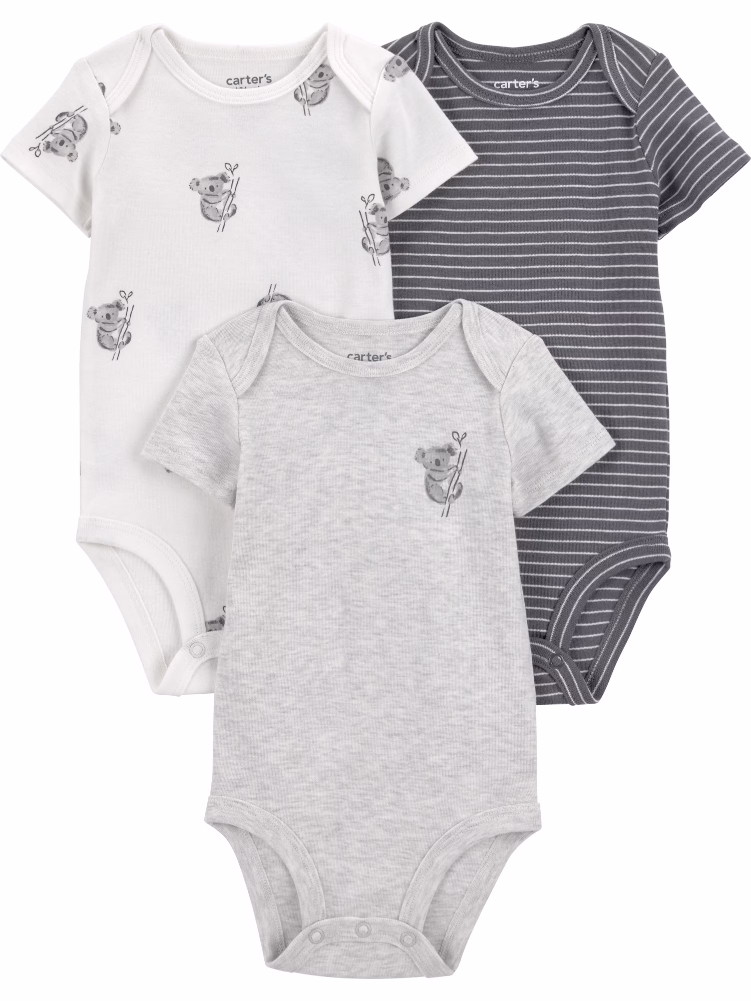 Gray/White Koala