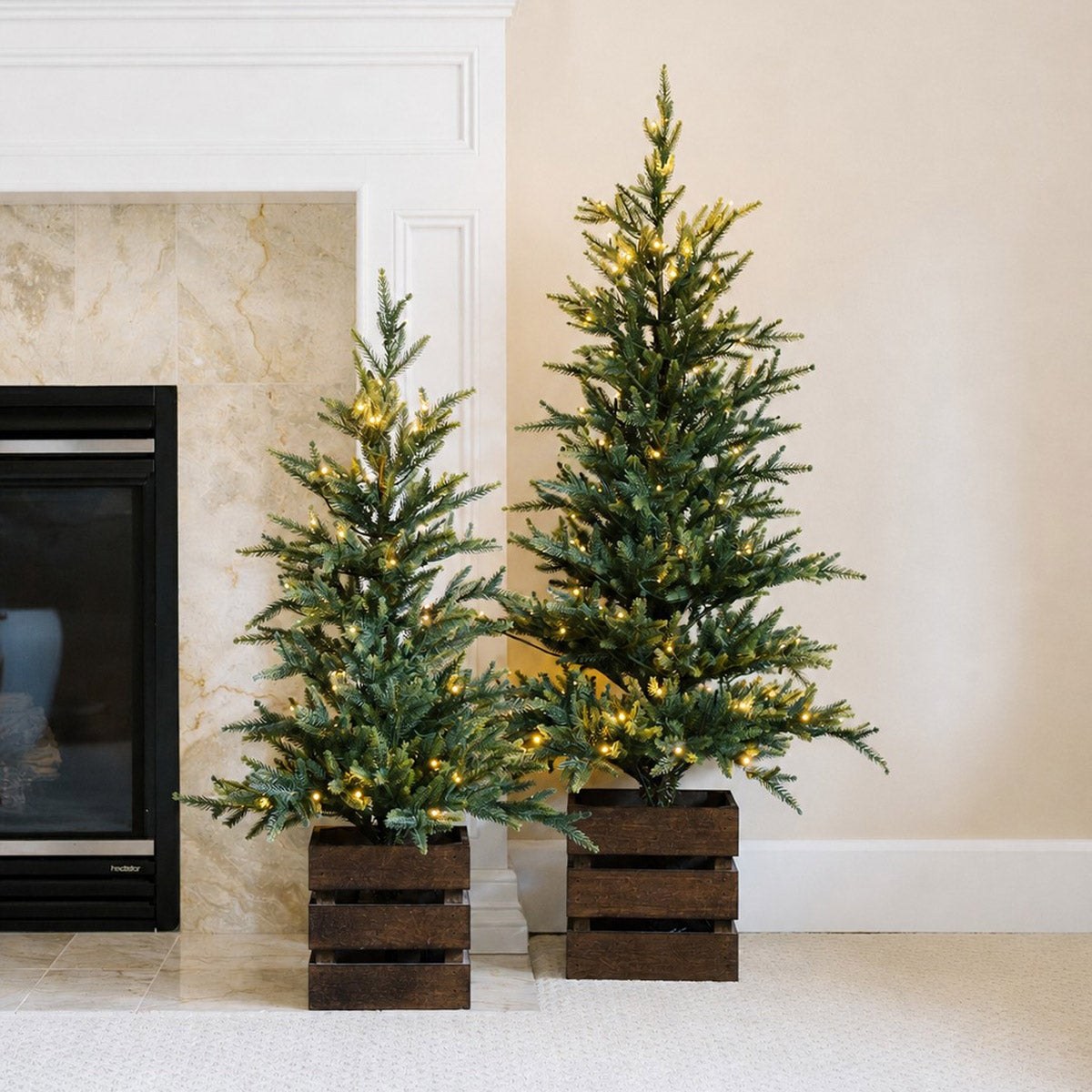 Boxed Pine Trees with Twinkle Lights