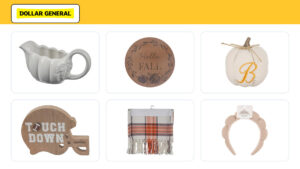 12 Best New Dollar General Fall Finds Under 20 This October