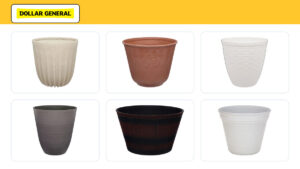 6 Dollar General Giant Planters Worth Buying This Season