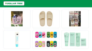 19 Dollar Tree Products Everyone’s Talking About (And Why They’re Flying Off Shelves)