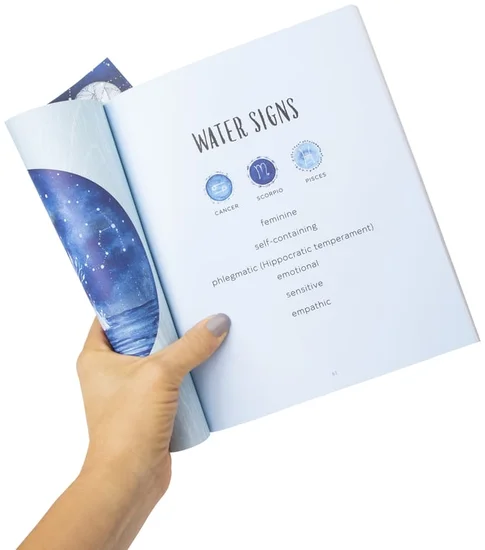 Celestial Zodiac Painting Book