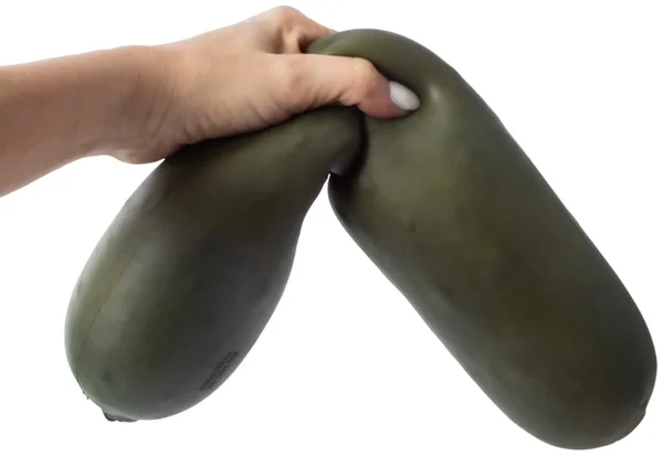 SmushMart Squishy Pickle