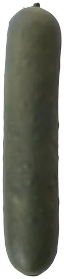 SmushMart Squishy Pickle