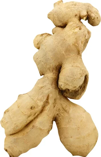 Ginger Root