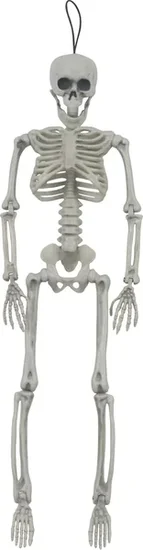 Halloween White Plastic Foldable Skeleton, 15.5 in