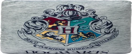Harry Potter™ Hogwarts Collegiate Throw Pillow