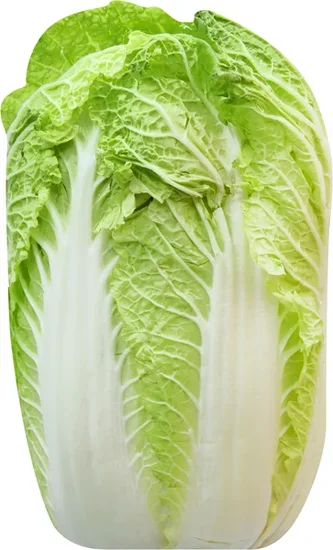 Napa Cabbage
