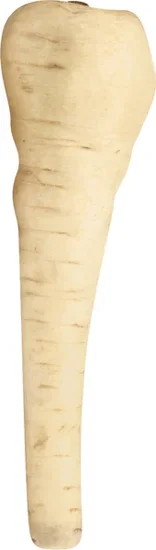 Parsnips Bulk
