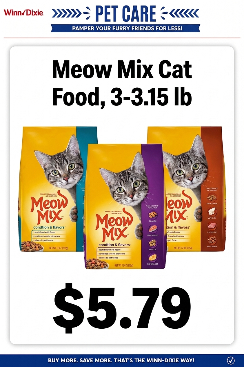 Pet Care Flyer