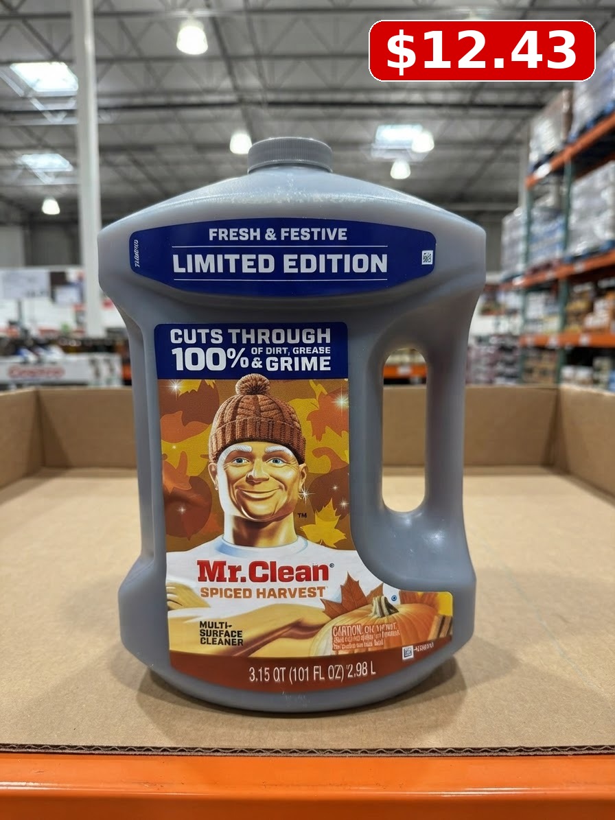 Mr. Clean All Purpose Spiced Harvest Multi-Surface Cleaner, 101 oz