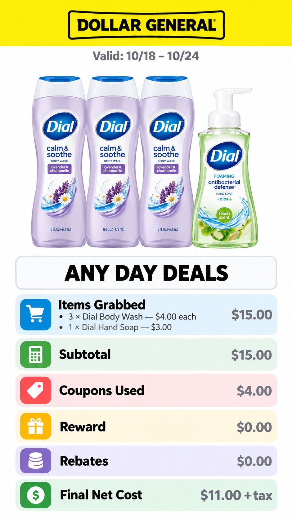 Dial Body Wash and Hand Soap Bundle