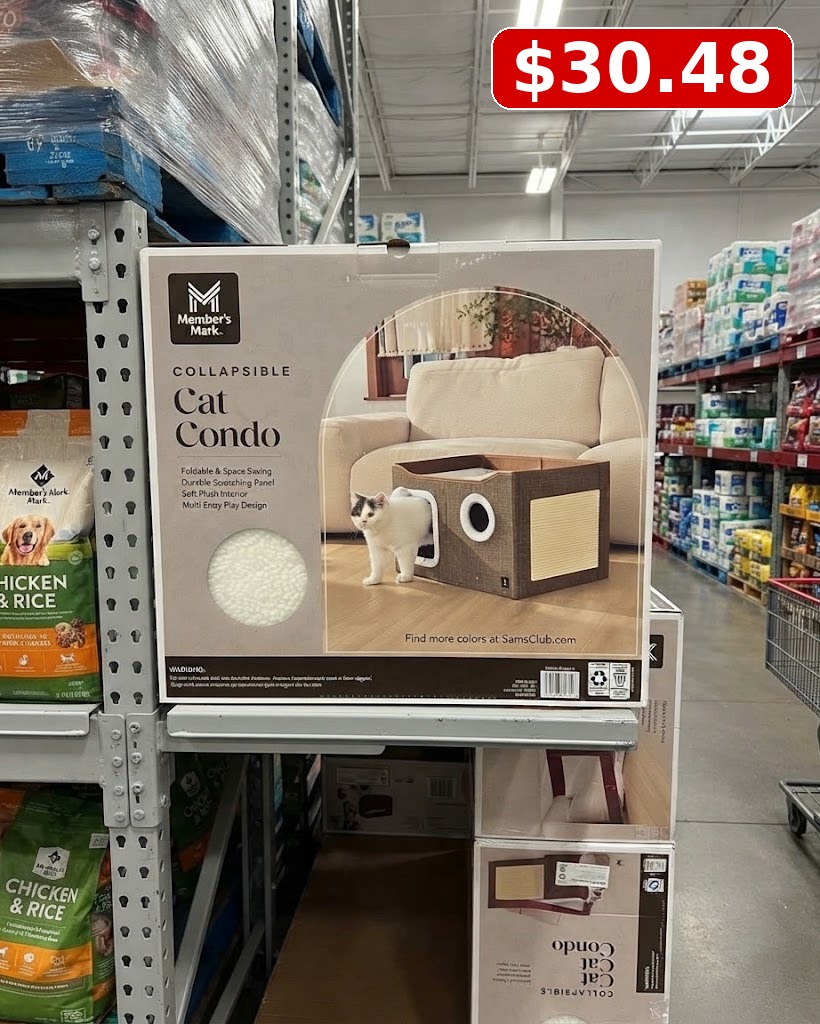 Member’s Mark Collapsible Cat Condo, 24 x 17 x 15 in - Brown