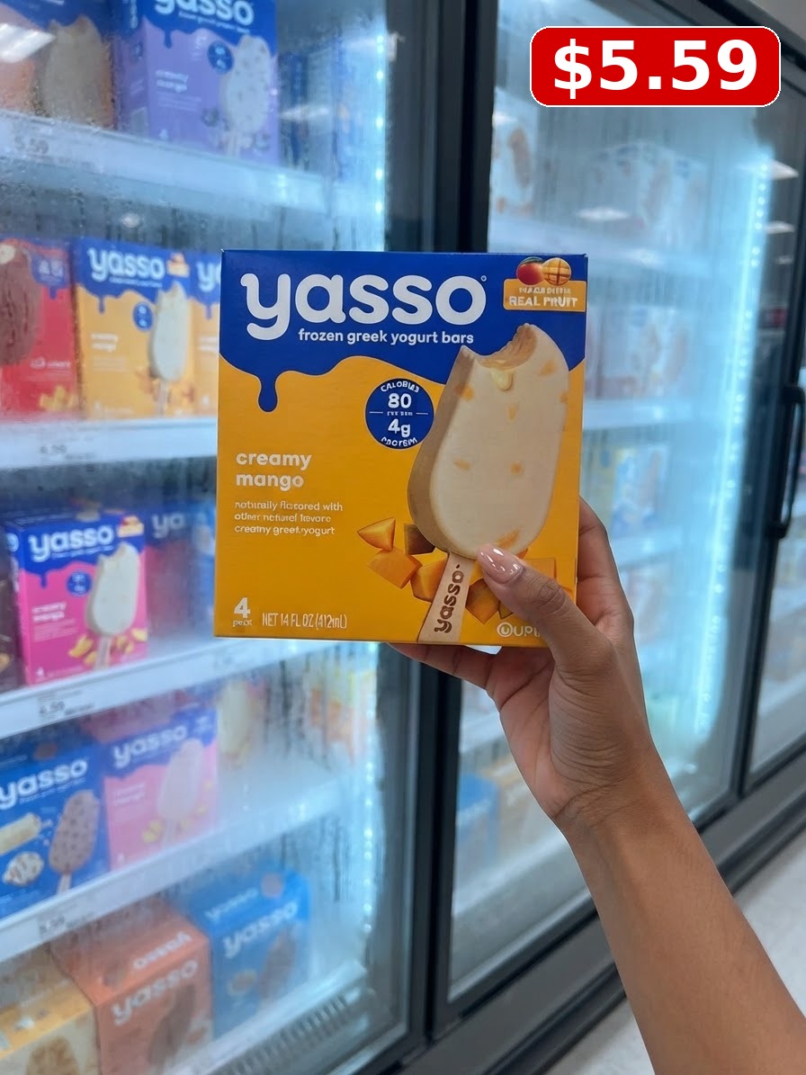 Yasso Frozen Greek Yogurt - Chocolate Fudge Bars - 4pk/14 fl oz